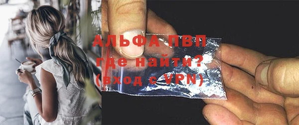 трава Ельня
