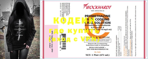 трава Ельня