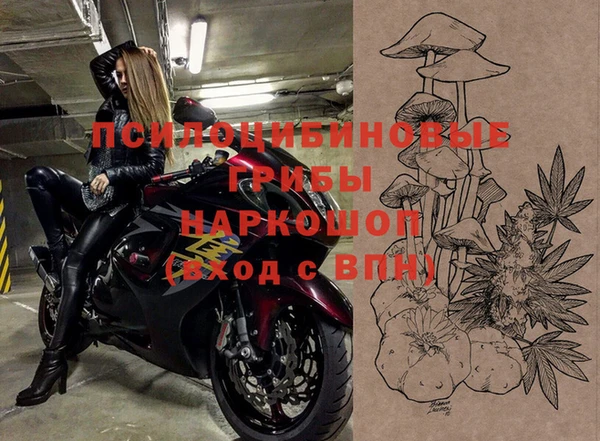 трава Ельня