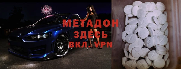 трава Ельня