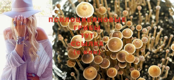 экстази Елизово